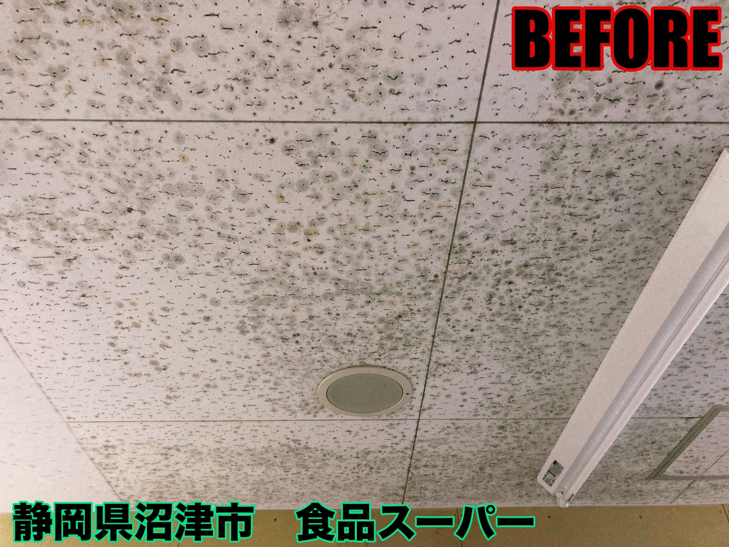 除カビ防カビ清掃 施工事例 店内【静岡県沼津市】食品スーパー様