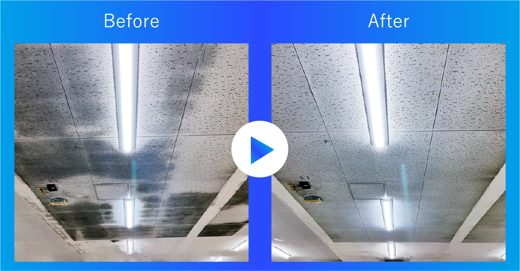 除カビ防カビ清掃画像