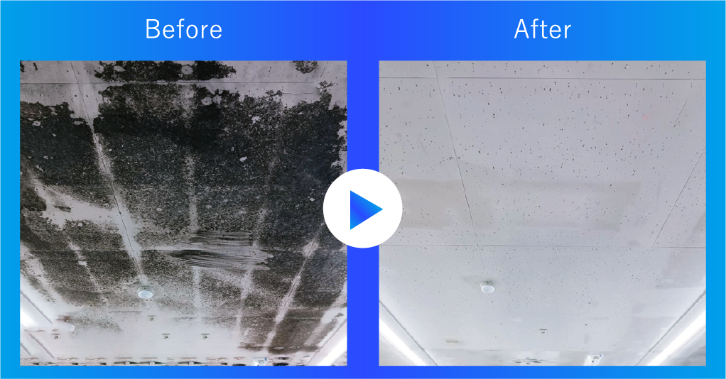 除カビ防カビ清掃画像