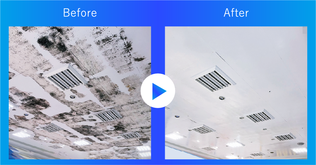 除カビ防カビ清掃画像