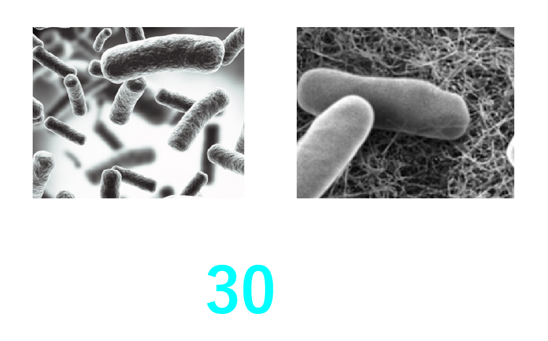 食中毒の原因物質数３０種類