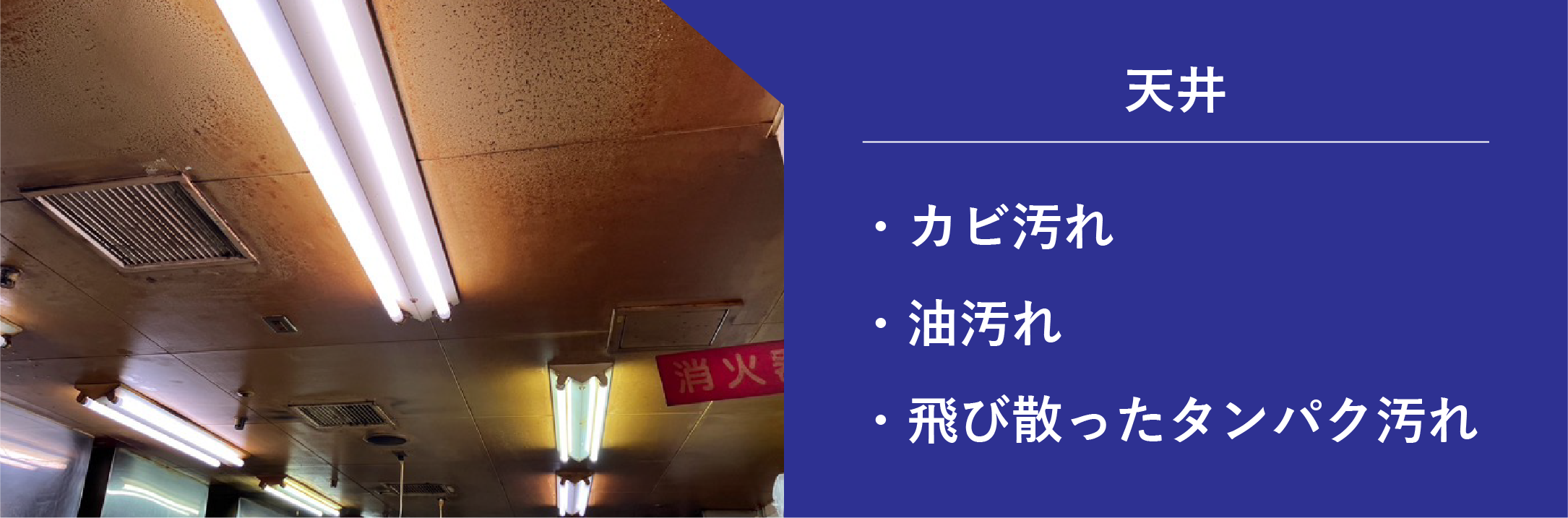 天井のカビ汚れ・油汚れ・飛び散ったタンパク汚れ