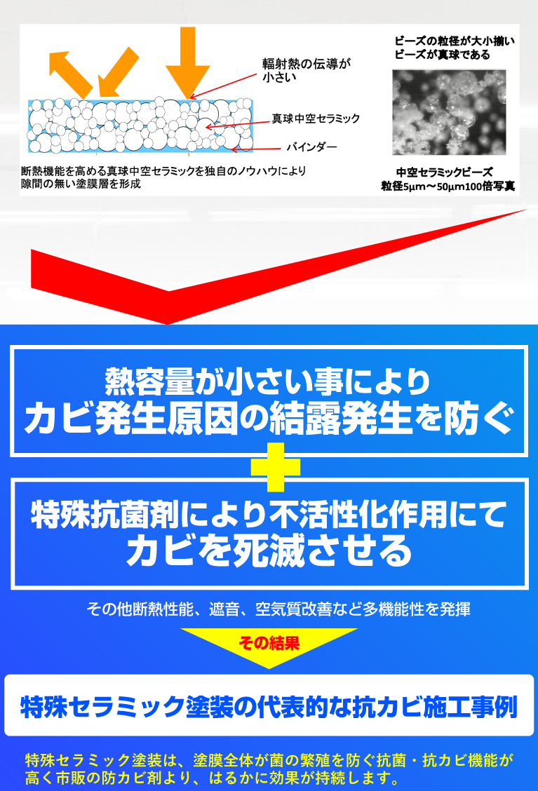 不活性化作用でカビを死滅させる