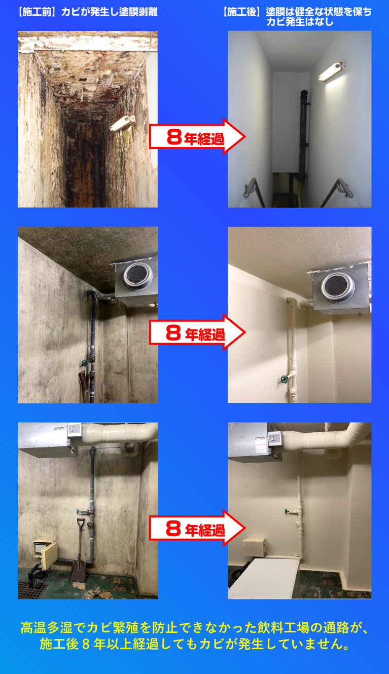 不活性化作用でカビを死滅させる