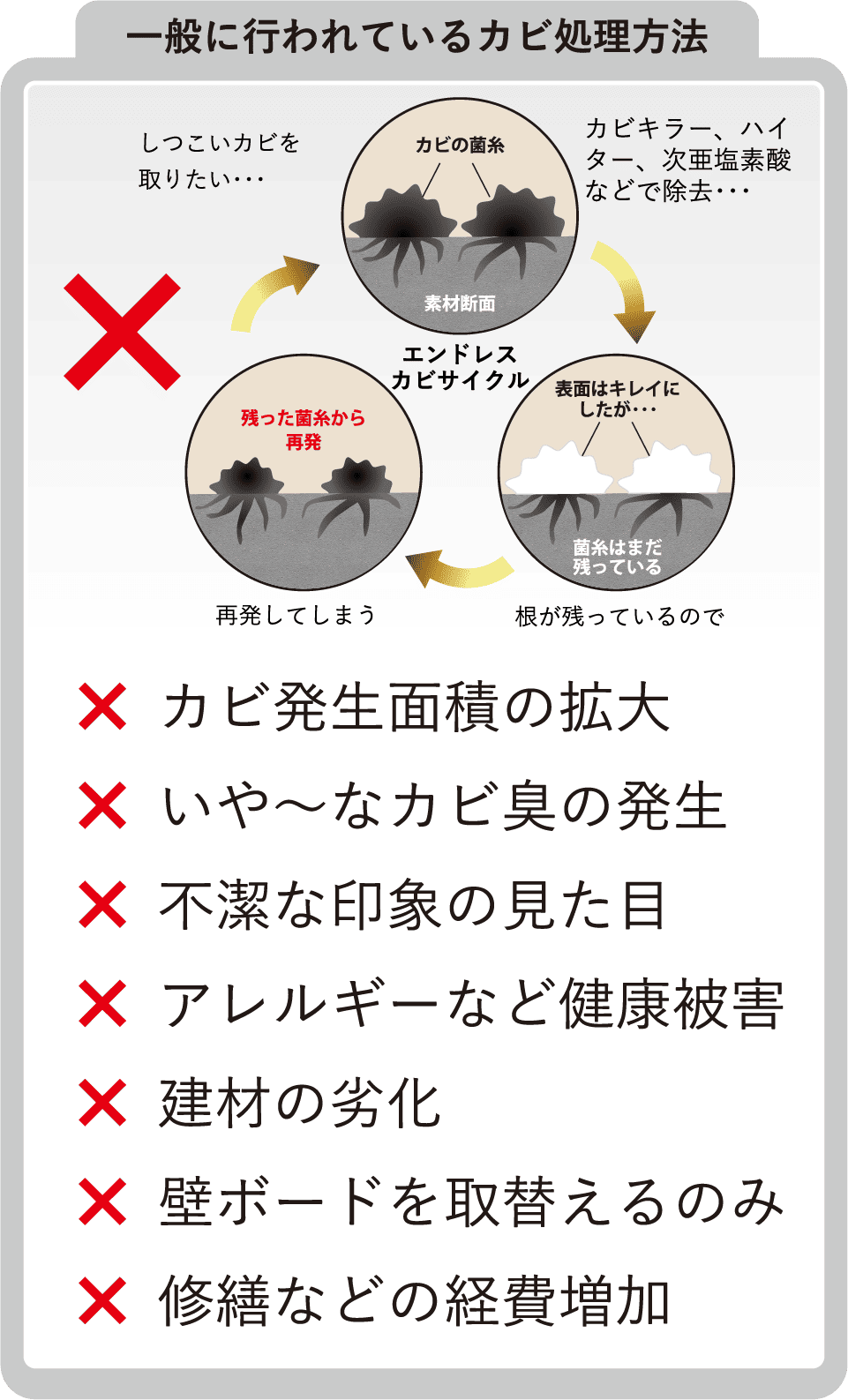 一般に行われているカビ処理方法