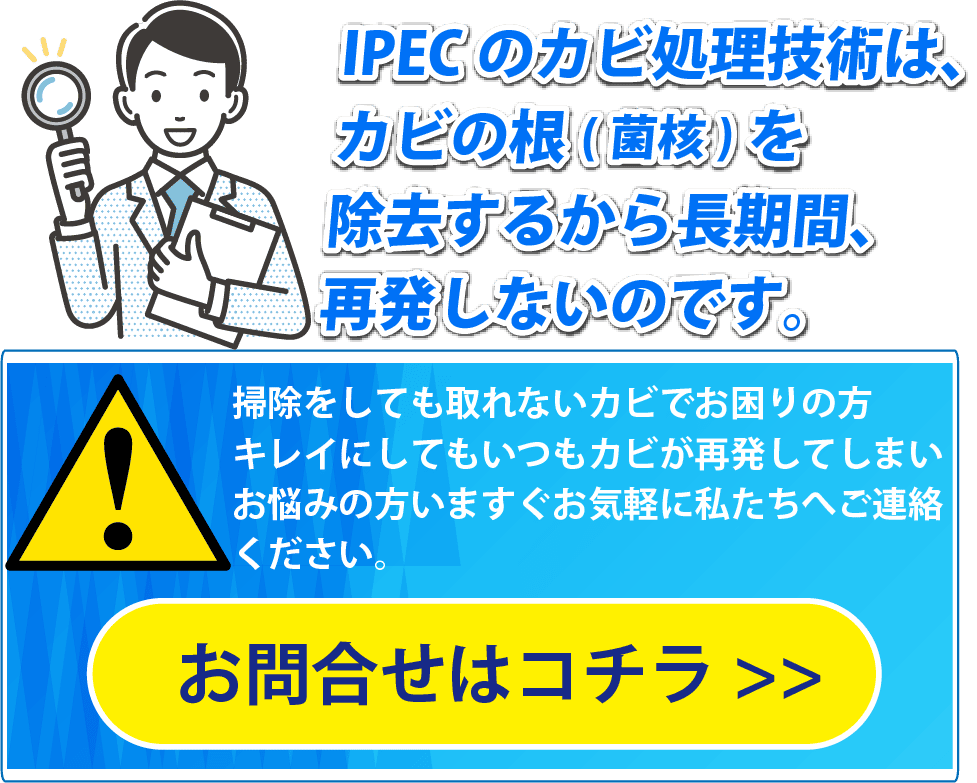 IPECのカビ処理技術、お問い合わせはコチラ