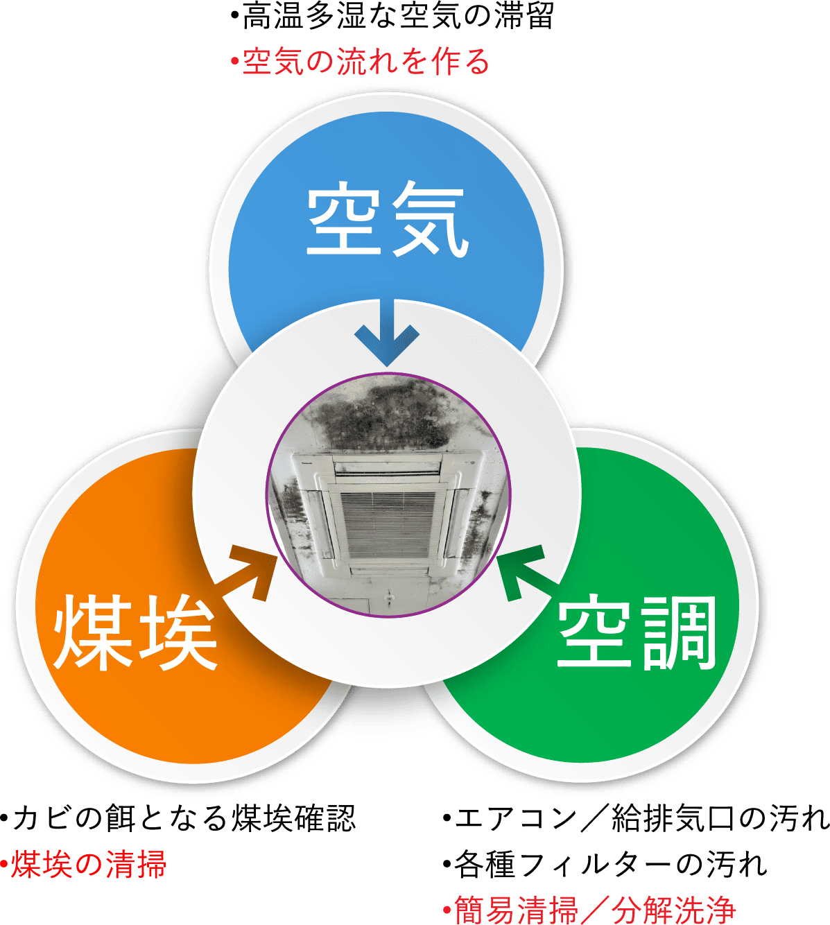 三大カビの発生原因