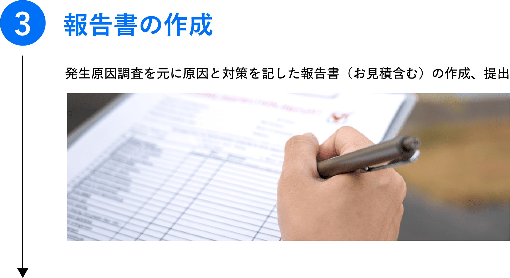 報告書の作成