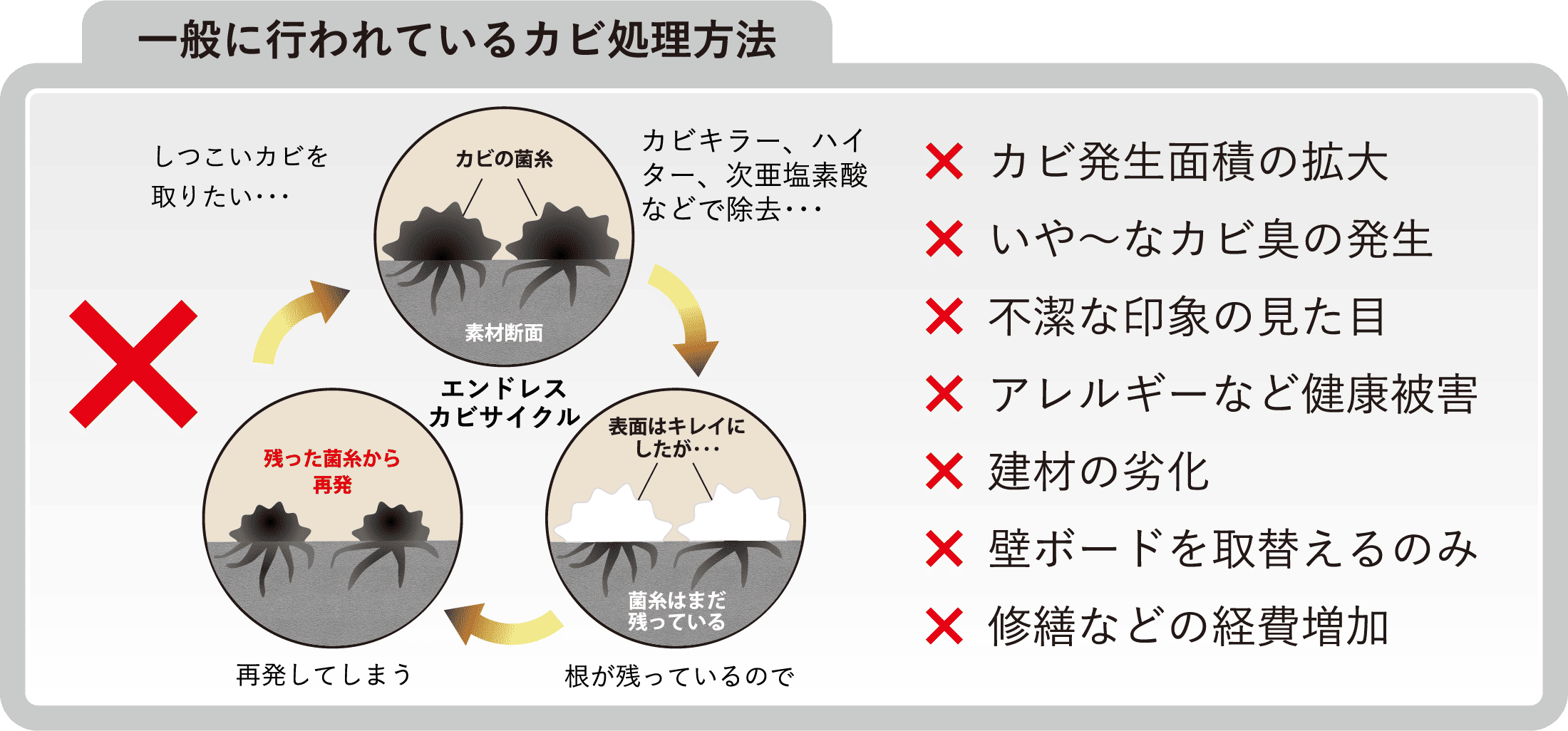 一般に行われているカビ処理方法